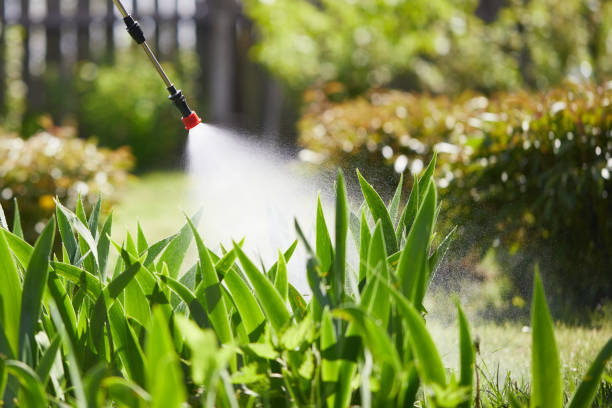24/7 Emergency Mosquito Control experts in Inglenook, CT