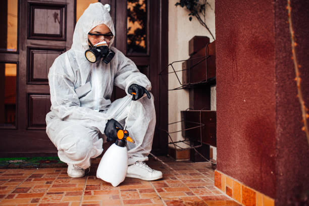 Reliable Mosquito Control contractor in Inglenook, CT by Show Me Pest Control